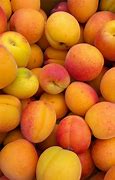 Image result for Richland Farmers Market WA