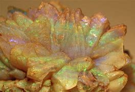 Image result for Pineapple Opal