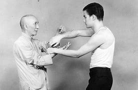Image result for What Are the Kung Fu Styles