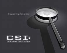 Image result for TV Theme Pics for CSI Washington DC