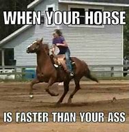 Image result for Funny Horse Pictures Free