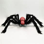Image result for Spider Loaf Toy