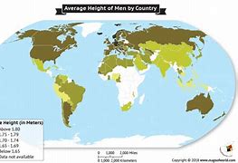 Image result for World Average Height Men