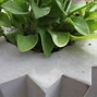Image result for DIY Concrete Garden Projects