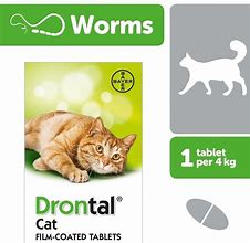 Image result for Worming Tablet to a Cat