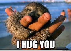 Image result for Sloth Hugs Meme