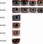 Image result for Genotypes for Eye Color