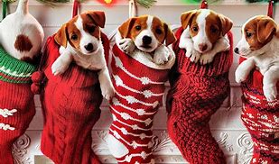 Image result for Christmas Wallpaper with Dogs