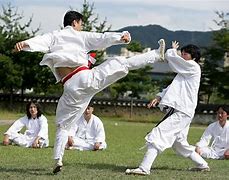 Image result for Taekkyeon