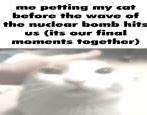 Image result for Cat Bomb Meme