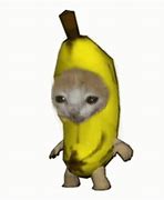 Image result for Cat in Banana Suit Meme