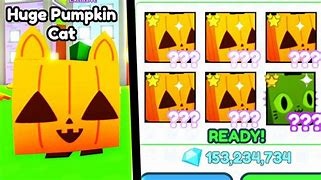 Image result for Giant Pumpkin Cat Pet Sim X