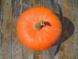 Image result for Pumpkin Vegetable