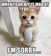 Image result for When Your Friend Is Mad at You Memes