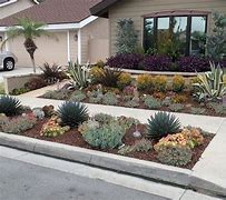 Image result for Drought Tolerant Landscaping Ideas