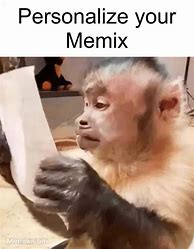 Image result for Brazil Monkey Meme