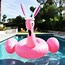 Image result for Flamingo Pool Float