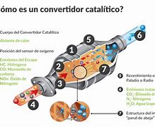 Image result for acagal�ctico