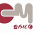 Image result for 20 Cm Logo