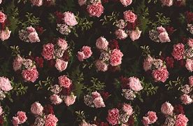 Image result for Black and Pink Floral Wallpaper