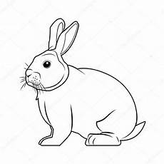 animali da cortile da colorare dise 241 o de conejo de blanco y negro archivo im 225 genes animali da cortile da colorare dise 241 o de conejo de blanco y negro archivo im 225 genes