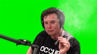 Image result for Elon Musk Career