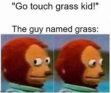 Image result for Touch the Grass Meme