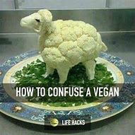 Image result for Funny Vegan Food Memes