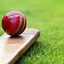 Image result for Cricket Pitch Wallpaper