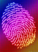 Image result for Fingerprint USB