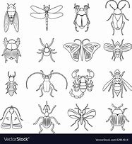 Image result for Outline of a Eesal Insect