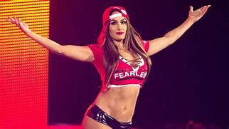 Image result for WWE Meet Nikki Bella