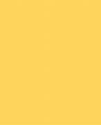 Image result for Pantone Minion Yellow