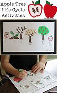 Image result for Apple's Grow On the Tree Images for Kids