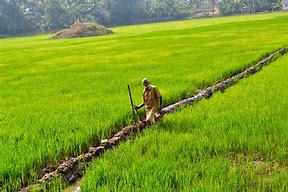 Image result for Village Farmer