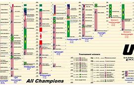 Image result for All UFC Champions