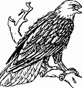 Image result for Eagle Vectors Draw Line Art
