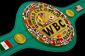 Image result for Boxing Championship Belt