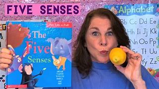 Image result for Five Senses for Children