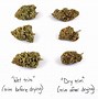 Image result for Fire Cut Cannabis