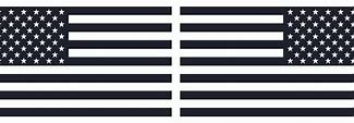 Image result for Michigan Great Lakes Black and White American Flag Decal