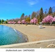 Image result for 205 North 4th Street Coeur d Alene Idaho