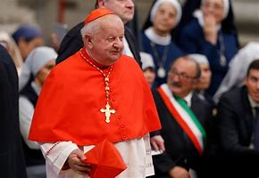 Image result for Free Use Pics of Catholic Cardinals