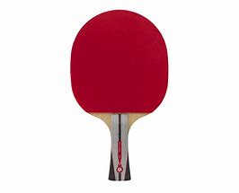 Image result for Ping Pong Paddle