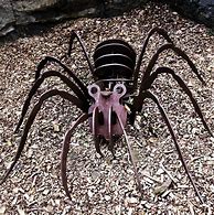 Image result for Spider Claws