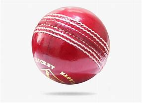 Image result for Cricket Shot Icon
