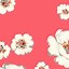 Image result for Cute Wallpapers for iPhone 5S