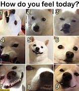 Image result for Dog Mood Meme