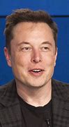 Image result for Elon Musk Race
