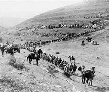 Image result for Battle of Megiddo WW1